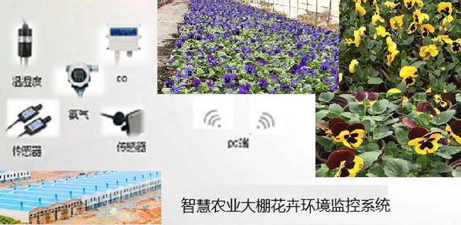 智慧農業(yè)環(huán)境監(jiān)控系統,農業(yè)環(huán)境監(jiān)控系統